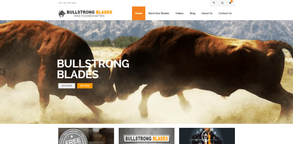 bullstrong-blades-ecommerce-Web-Design.-_webpage